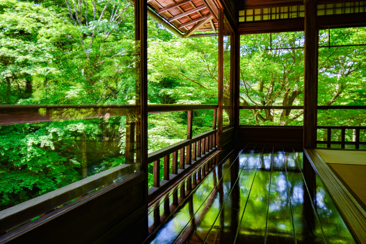 京都瑠璃光院の新緑